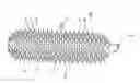 Fig. 01 - One-piece, multi-component injection-molded brush and method for producing it