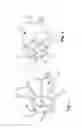Fig. 02 - One-piece, multi-component injection-molded brush and method for producing it