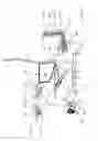 Fig. 04 - Functional chair
