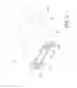 Fig. 04 - ARMREST PAD STRUCTURE