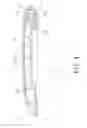 Fig. 05 - ARMREST PAD STRUCTURE