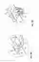 Fig. 04 - Clip assembly for use holding sinuous springs