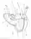 Fig. 02 - Combination Lid and Utensil Holder