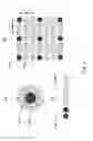 Fig. 04 - Spatially offset raman spectroscopy of layered soft tissues and applications of same
