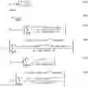 Fig. 40 - METHOD AND SYSTEM FOR OBTAINING DIMENSION RELATED INFORMATION FOR A FLOW CHANNEL