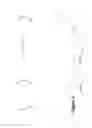 Fig. 03 - Localization of fibrous neural structures