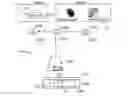 Fig. 01 - PHYSICAL PERFORMANCE ASSESSMENT