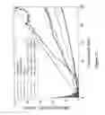 Fig. 16 - Methods and compositions for tissue-equivalent opto-acoustic phantoms
