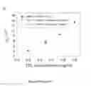 Fig. 19 - Methods and compositions for tissue-equivalent opto-acoustic phantoms