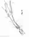 Fig. 09 - Buttress support design for EEA anvil