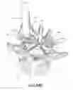 Fig. 54 - Vertebral facet joint drill and method of use