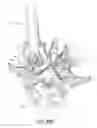 Fig. 55 - Vertebral facet joint drill and method of use