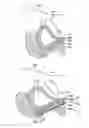 Fig. 01 - PUNCTURE APPARATUS