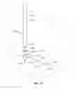 Fig. 22 - Methods for navigating an instrument through bone