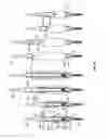 Fig. 08 - Tissue retraction and vertebral displacement devices, systems, and methods for posterior spinal fusion