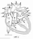 Fig. 07 - Real-time lesion formation assessment