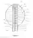 Fig. 14 - Apparatus and methods for treating rhinitis