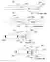 Fig. 17 - Methods and apparatus for pulsed electric field neuromodulation via an intra-to-extravascular approach