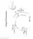 Fig. 13 - INTERFACE BETWEEN USER AND LAPAROSCOPIC TOOLS