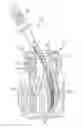 Fig. 01 - Endodontic instruments and methods of manufacturing thereof