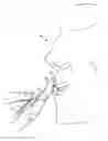 Fig. 01 - Holder for a concealed tooth cleaning implement