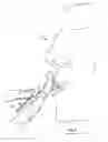Fig. 02 - Holder for a concealed tooth cleaning implement