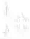 Fig. 24 - Methods for facet joint treatment