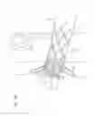 Fig. 08 - Prosthetic renal valve
