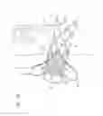 Fig. 09 - Prosthetic renal valve