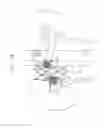 Fig. 25 - Prosthetic renal valve