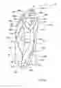 Fig. 08 - Orthopedic support garment