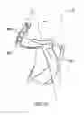 Fig. 19 - Orthopedic support garment
