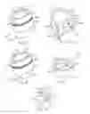 Fig. 07 - Female enteral coupling