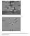 Fig. 03 - Microcapsules containing active ingredients