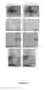 Fig. 02 - DERMAL REJUVENATION COMPOSITIONS AND METHODS
