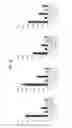Fig. 03 - REGULATING THE INTERACTION BETWEEN TAM LIGANDS AND LIPID MEMBRANES WITH EXPOSED PHOSPHATIDYL SERINE