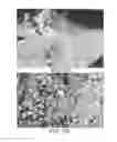 Fig. 03 - Methods for the preparation of biologically active compounds in nanoparticulate form