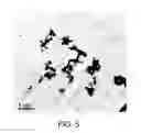 Fig. 05 - Methods for the preparation of biologically active compounds in nanoparticulate form