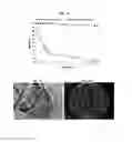 Fig. 07 - Floating capsules encapsulating particles loaded with one or more drugs