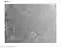 Fig. 03 - NUTRITIONAL COMPOSITION CONTAINING A NEUROLOGIC COMPONENT OF URSOLIC ACID AND USES THEREOF