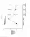 Fig. 22 - Parenteral formulations of treprostinil