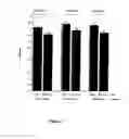 Fig. 08 - Pharmaceutical compositions containing oligomeric lactic acid