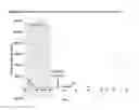 Fig. 02 - METHODS OF ADMINISTERING RIFAXIMIN WITHOUT PRODUCING ANTIBIOTIC RESISTANCE