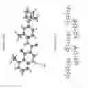 Fig. 31 - PHARMACEUTICAL COMPOSITIONS AND ADMINISTRATIONS THEREOF