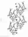 Fig. 50 - PHARMACEUTICAL COMPOSITIONS AND ADMINISTRATIONS THEREOF