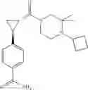 Fig. 85 - CYCLOPROPYL AMIDE DERIVATIVES
