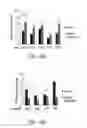 Fig. 06 - Methods of diagnosing and treating motor neuron diseases and other cellular stress-related diseases