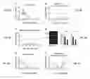 Fig. 07 - Methods of diagnosing and treating motor neuron diseases and other cellular stress-related diseases