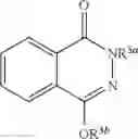 Fig. 13 - Substituted phthalazines for inducing insulin secretion and protecting beta-cells