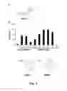 Fig. 06 - Compounds and methods of use thereof for treating neurodegenerative disorders
